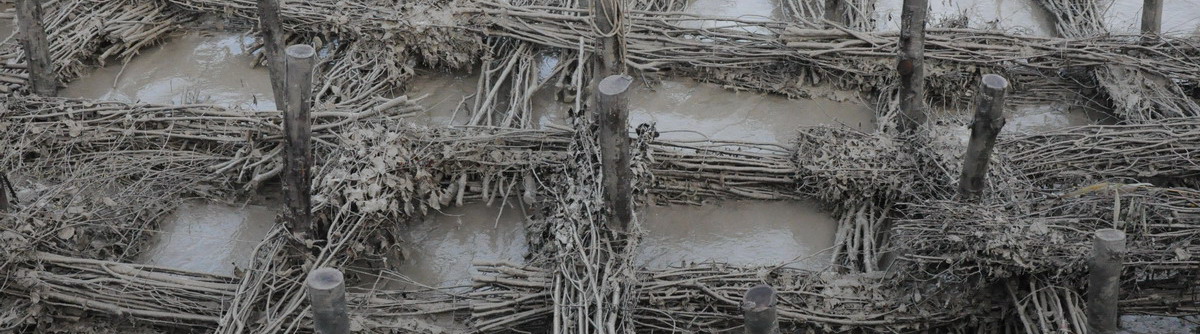 inter tidal bank stabilisation