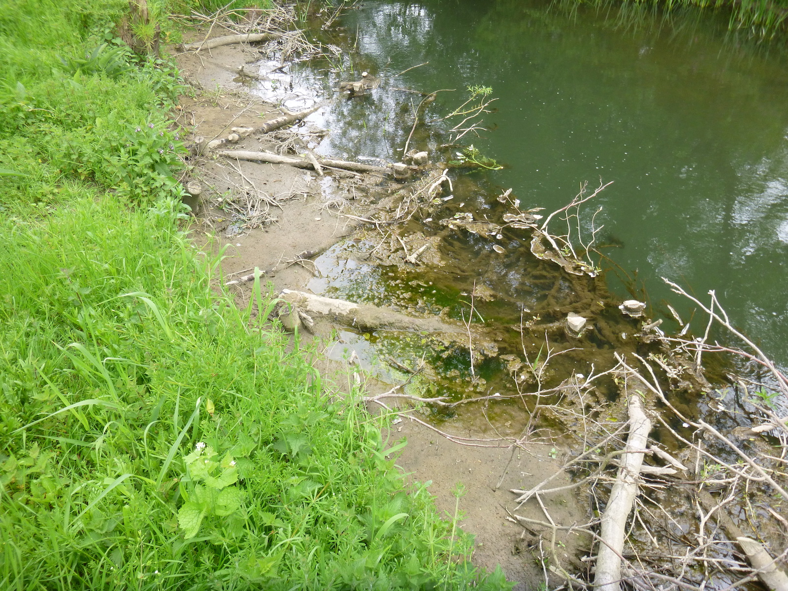River Nadder restoration